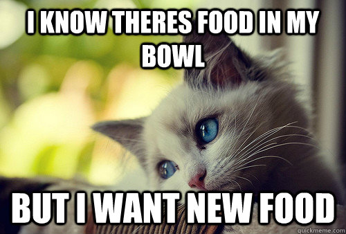 I know theres food in my bowl but i want new food  First World Problems Cat