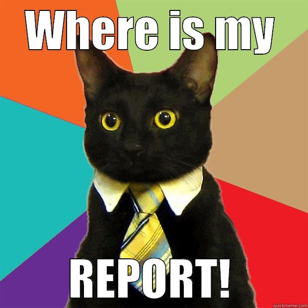 WHERE IS MY REPORT! Business Cat