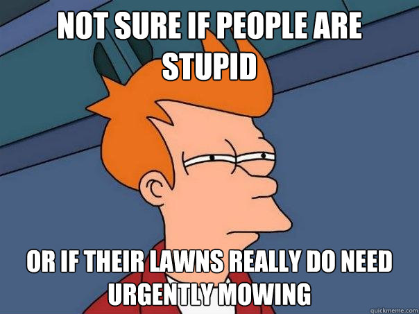 Not sure if people are stupid Or if their lawns really do need urgently mowing  Futurama Fry