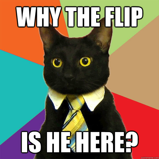 why the flip is he here?  Business Cat