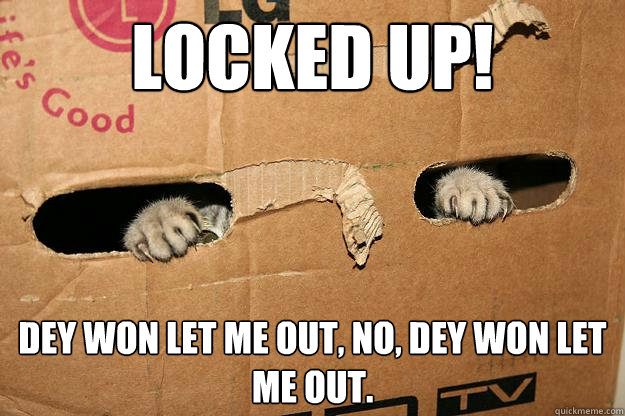 LOCKED UP! Dey won let me out, No, Dey won let me out. - LOCKED UP! Dey won let me out, No, Dey won let me out.  Kitteh Jail Cell