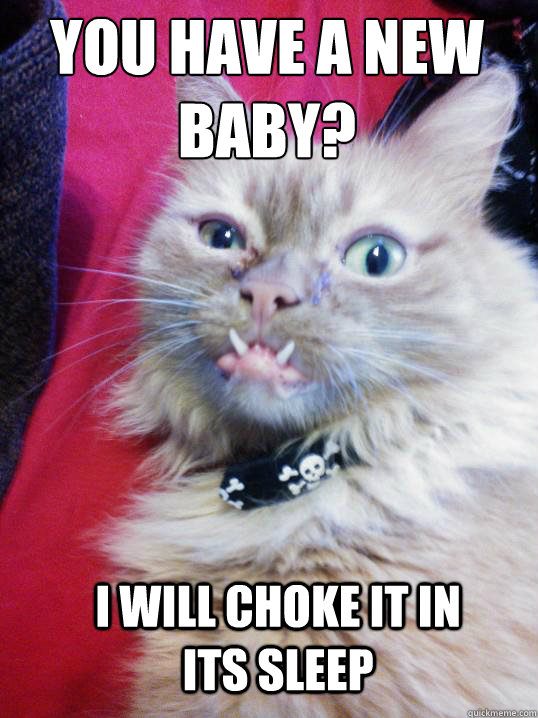 i will choke it in its sleep you have a new baby? - i will choke it in its sleep you have a new baby?  Enraged Cat