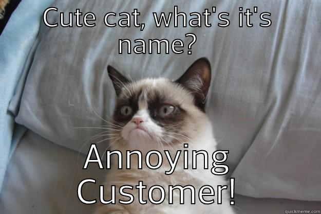 CUTE CAT, WHAT'S IT'S NAME? ANNOYING CUSTOMER! Grumpy Cat