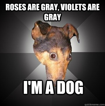 ROSES ARE GRAY, VIOLETS ARE GRAY I'M A DOG   Depression Dog