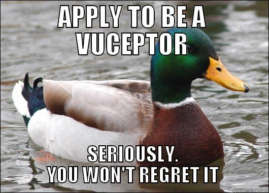 APPLY TO BE A VUCEPTOR SERIOUSLY. YOU WON'T REGRET IT Actual Advice Mallard