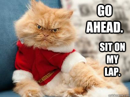 Go ahead. Sit on my lap. - Go ahead. Sit on my lap.  Bad Santa Kitteh