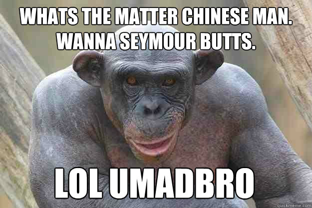 whats the matter chinese man. wanna seymour butts. lol umadbro  The Most Interesting Chimp In The World