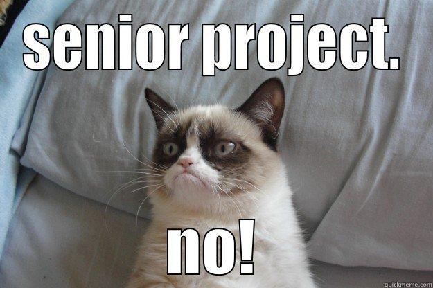 SENIOR PROJECT. NO! Grumpy Cat