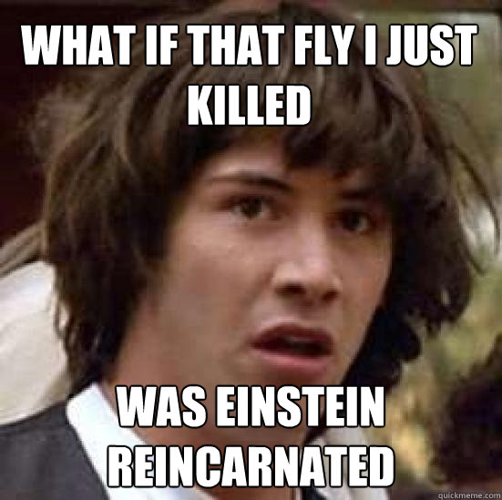 What if that fly I just killed was einstein reincarnated  conspiracy keanu