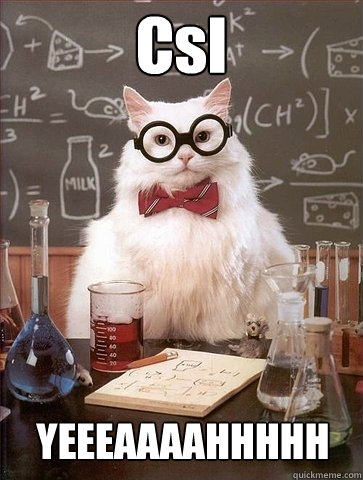 CsI YEEEAAAAHHHHH  Chemistry Cat