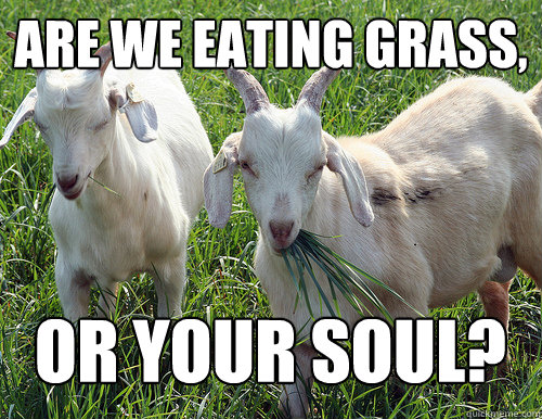 are we eating grass, or your soul? - are we eating grass, or your soul?  Goats