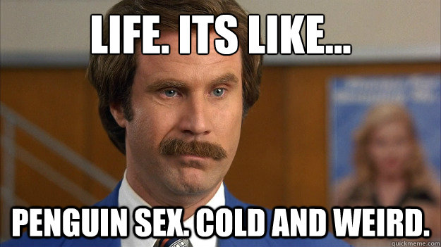Life. Its like...
 Penguin sex. Cold and weird.  
