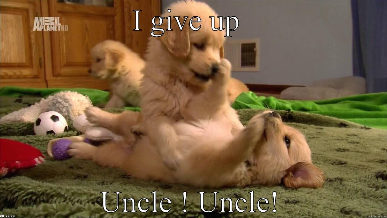 I GIVE UP  UNCLE ! UNCLE! Misc