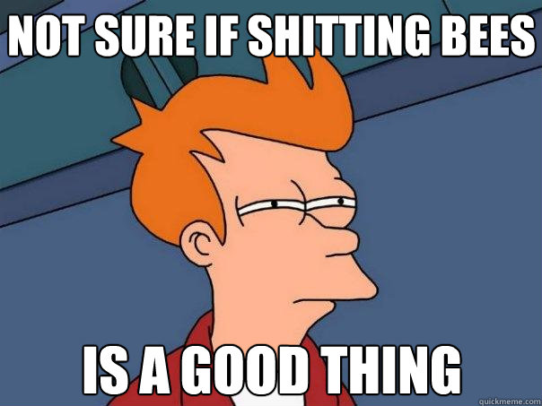 not sure if shitting bees is a good thing - not sure if shitting bees is a good thing  Futurama Fry