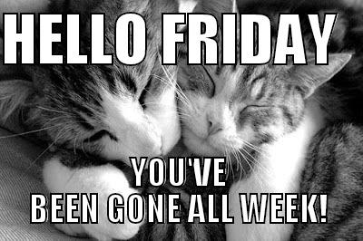 HELLO FRIDAY   YOU'VE BEEN GONE ALL WEEK! Misc