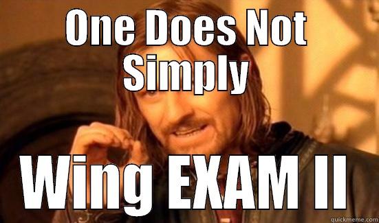 ONE DOES NOT SIMPLY WING EXAM II Boromir