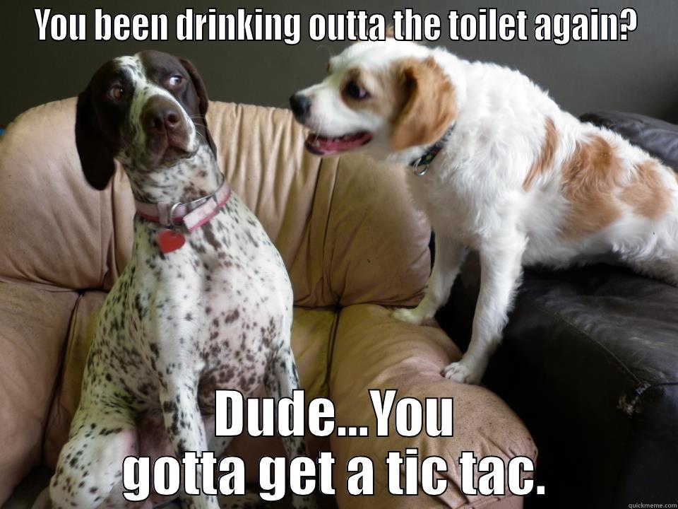 Dog Breath - YOU BEEN DRINKING OUTTA THE TOILET AGAIN? DUDE...YOU GOTTA GET A TIC TAC. Misc