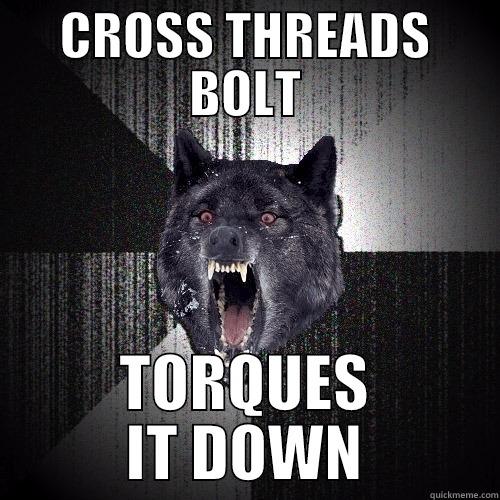 CROSS THREADS BOLT TORQUES IT DOWN Insanity Wolf