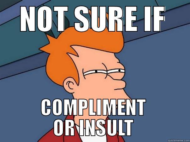 NOT SURE IF COMPLIMENT OR INSULT Futurama Fry