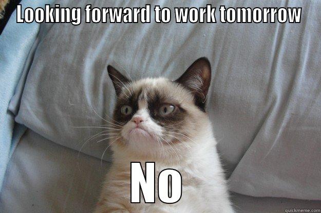 LOOKING FORWARD TO WORK TOMORROW NO Grumpy Cat