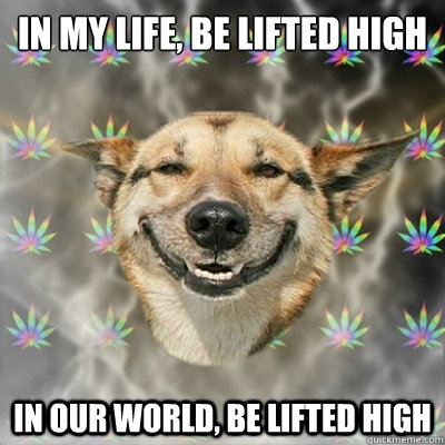 in my life, be lifted high
 in our world, be lifted high  Stoner Dog