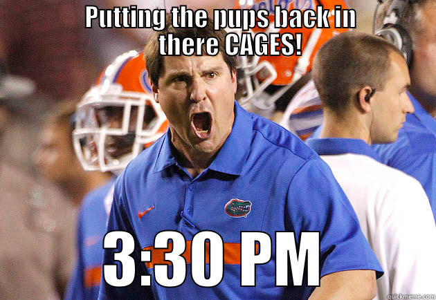 Gators vs Dogs -                  PUTTING THE PUPS BACK IN                      THERE CAGES! 3:30 PM Misc