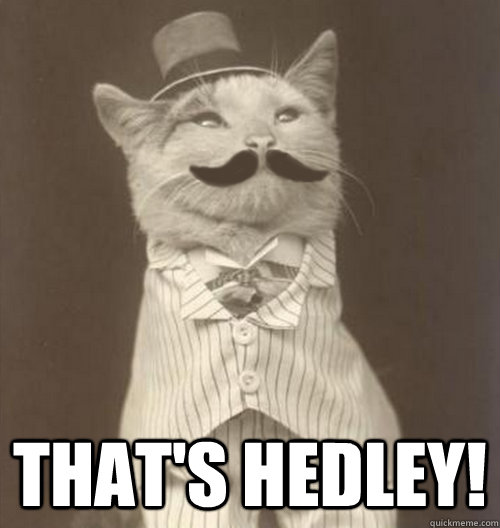  That's HEDLEY!  Original Business Cat