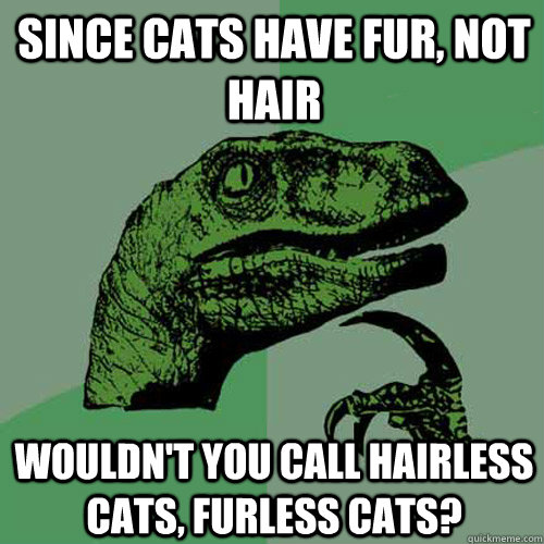 Since cats have fur, not hair wouldn't you call hairless cats, furless cats?  Philosoraptor