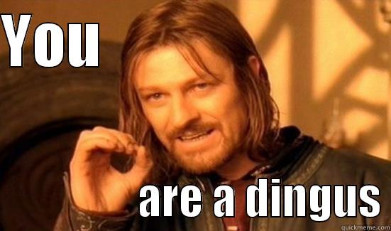 YOU                                          ARE A DINGUS Boromir