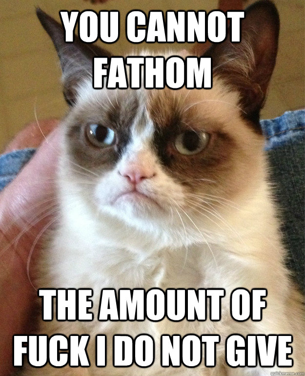 you cannot fathom  the amount of fuck i do not give  Grumpy Cat