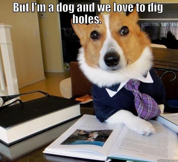 BUT I'M A DOG AND WE LOVE TO DIG HOLES.    Lawyer Dog