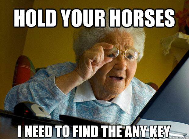 HOLD YOUR HORSES I NEED TO FIND THE ANY KEY    Grandma finds the Internet