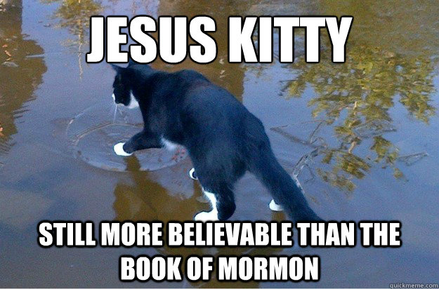 jesus kitty still more believable than the book of mormon - jesus kitty still more believable than the book of mormon  Jesus Cat