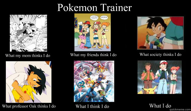 Pokemon Trainer What my friends think I do What society thinks I do What my mom thinks I do What professor Oak thinks I do What I think I do What I do  Pokemon Trainer