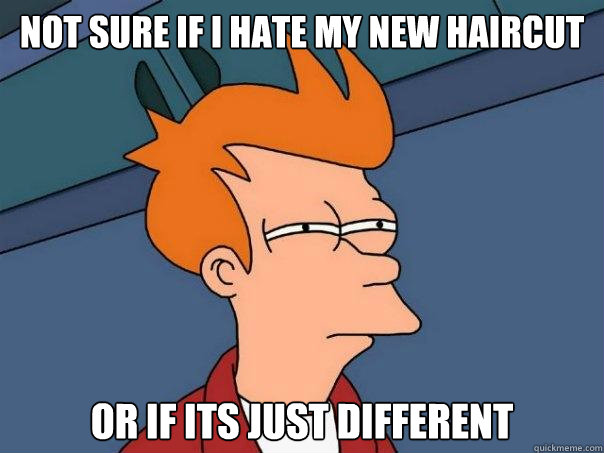 Not sure if I hate my new haircut or if its just different  Futurama Fry