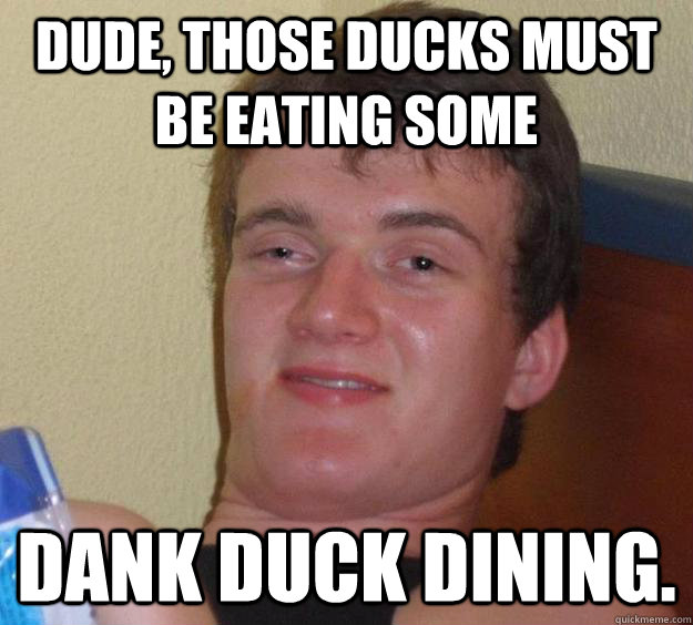 Dude, those ducks must be eating some Dank Duck Dining.  10 Guy