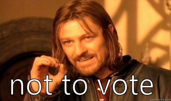  NOT TO VOTE Boromir