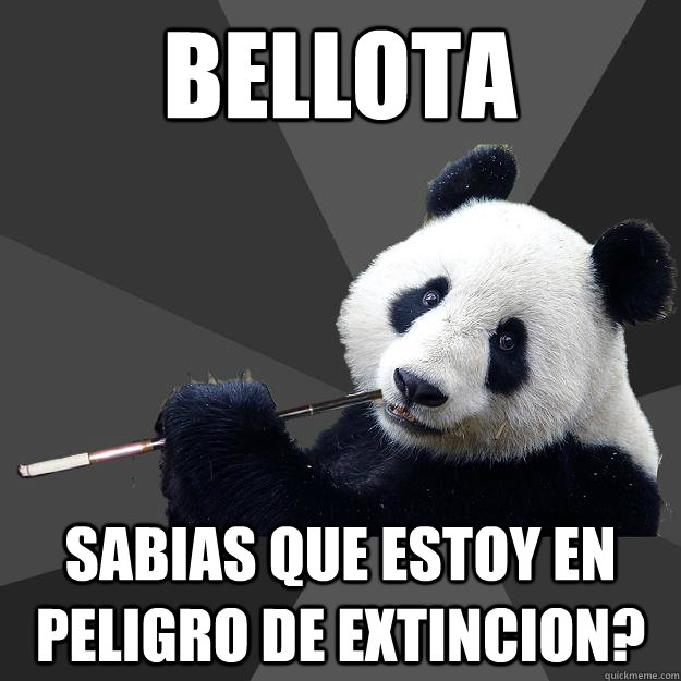 bellota sabias que estoy en peligro de extincion? - bellota sabias que estoy en peligro de extincion?  Propapanda