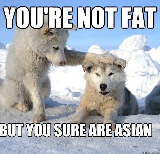 you're not fat
 but you sure are asian  Caring Husky