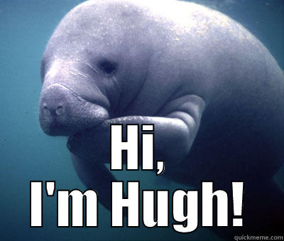  HI, I'M HUGH! Misc