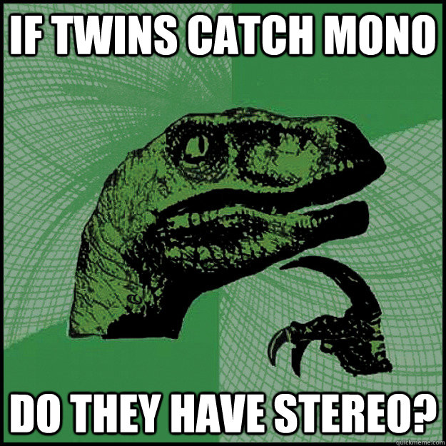 If twins catch mono Do they have stereo? - If twins catch mono Do they have stereo?  New Philosoraptor