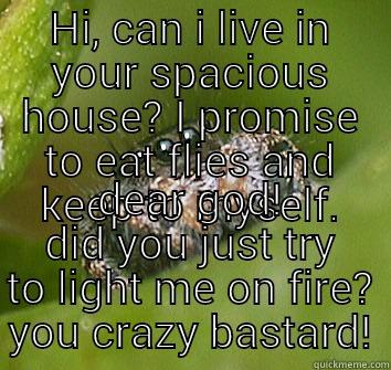 HI, CAN I LIVE IN YOUR SPACIOUS HOUSE? I PROMISE TO EAT FLIES AND KEEP TO MYSELF. DEAR GOD! DID YOU JUST TRY TO LIGHT ME ON FIRE? YOU CRAZY BASTARD! Misunderstood Spider