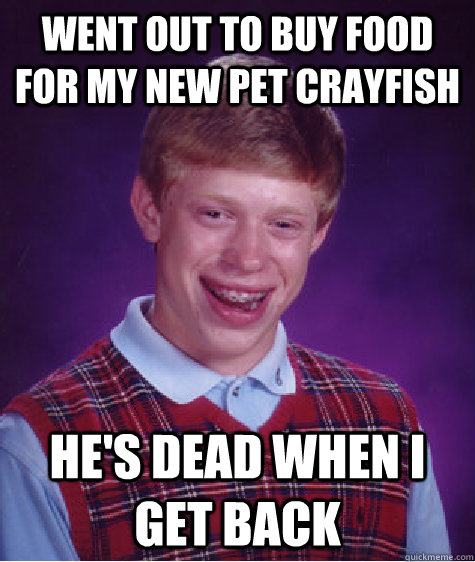 Went out to buy food for my new pet crayfish he's dead when I get back - Went out to buy food for my new pet crayfish he's dead when I get back  Bad Luck Brian