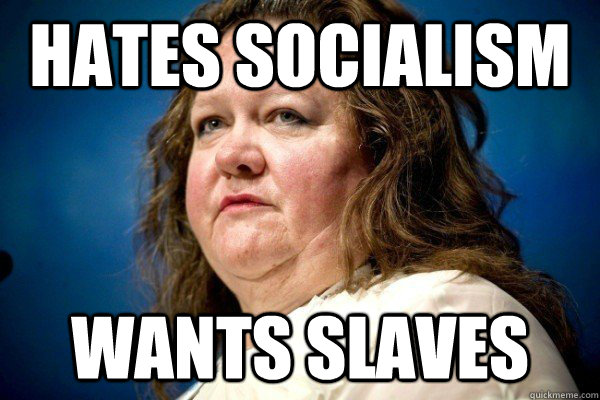 Hates socialism Wants slaves  Spiteful Billionaire