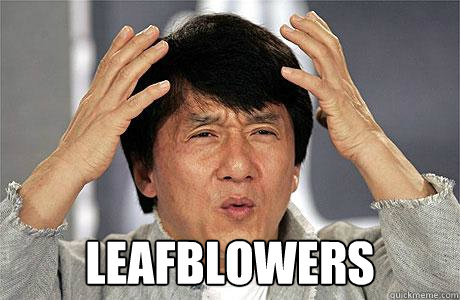  LEAFBLOWERS -  LEAFBLOWERS  EPIC JACKIE CHAN