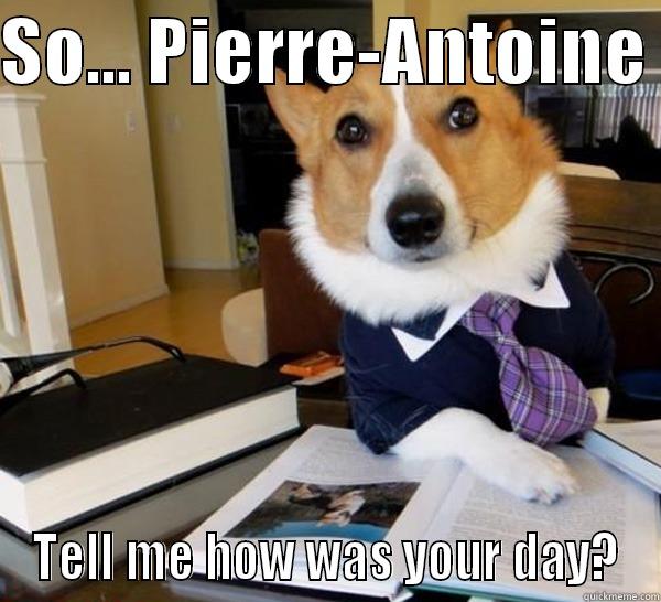 SO... PIERRE-ANTOINE  TELL ME HOW WAS YOUR DAY? Lawyer Dog