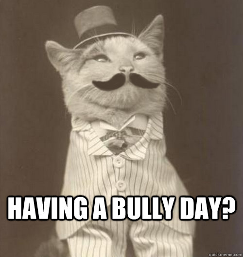  Having a bully day?  Original Business Cat