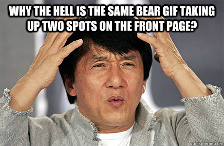 Why the hell is the same bear gif taking up two spots on the front page?   EPIC JACKIE CHAN