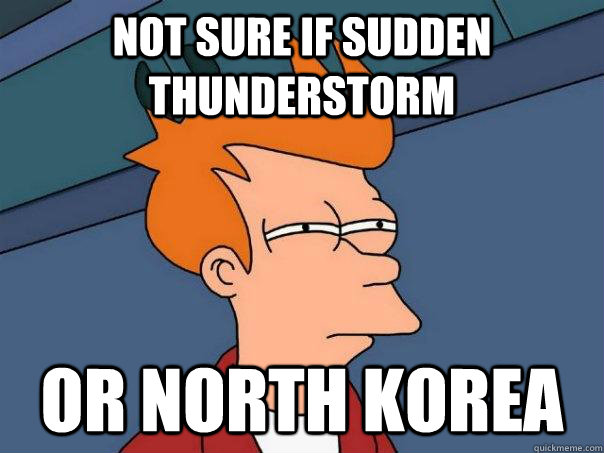 Not sure if sudden thunderstorm Or North Korea  Futurama Fry