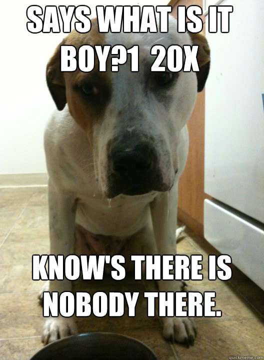 Says what is it boy?1  20x Know's there is nobody there.  